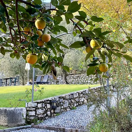 Fondo La Campagnola